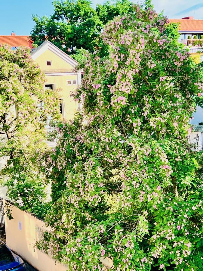 קלייפדה Super Apartment Old Town מראה חיצוני תמונה